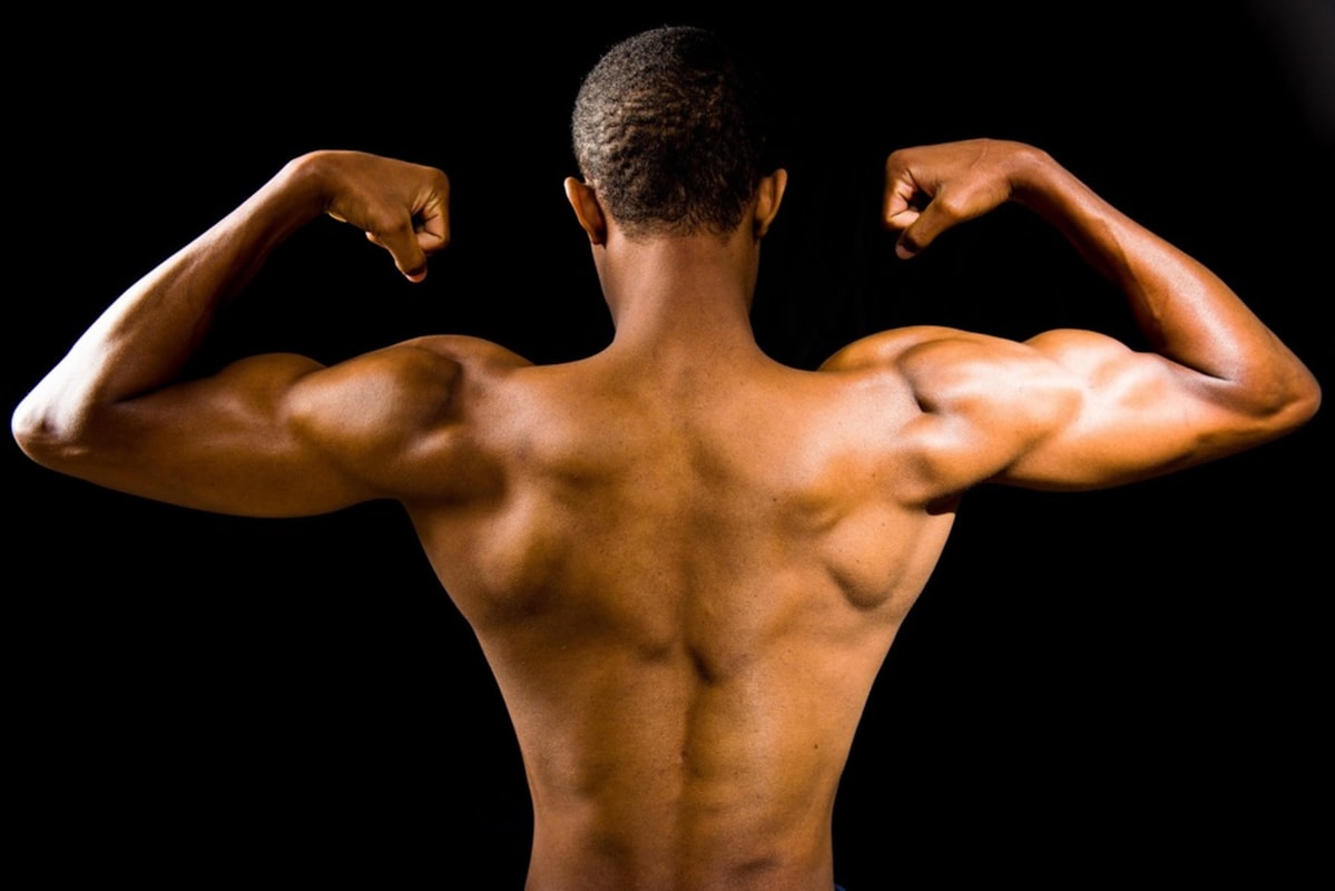 Sumber Protein Berkualitas untuk Pertumbuhan Otot